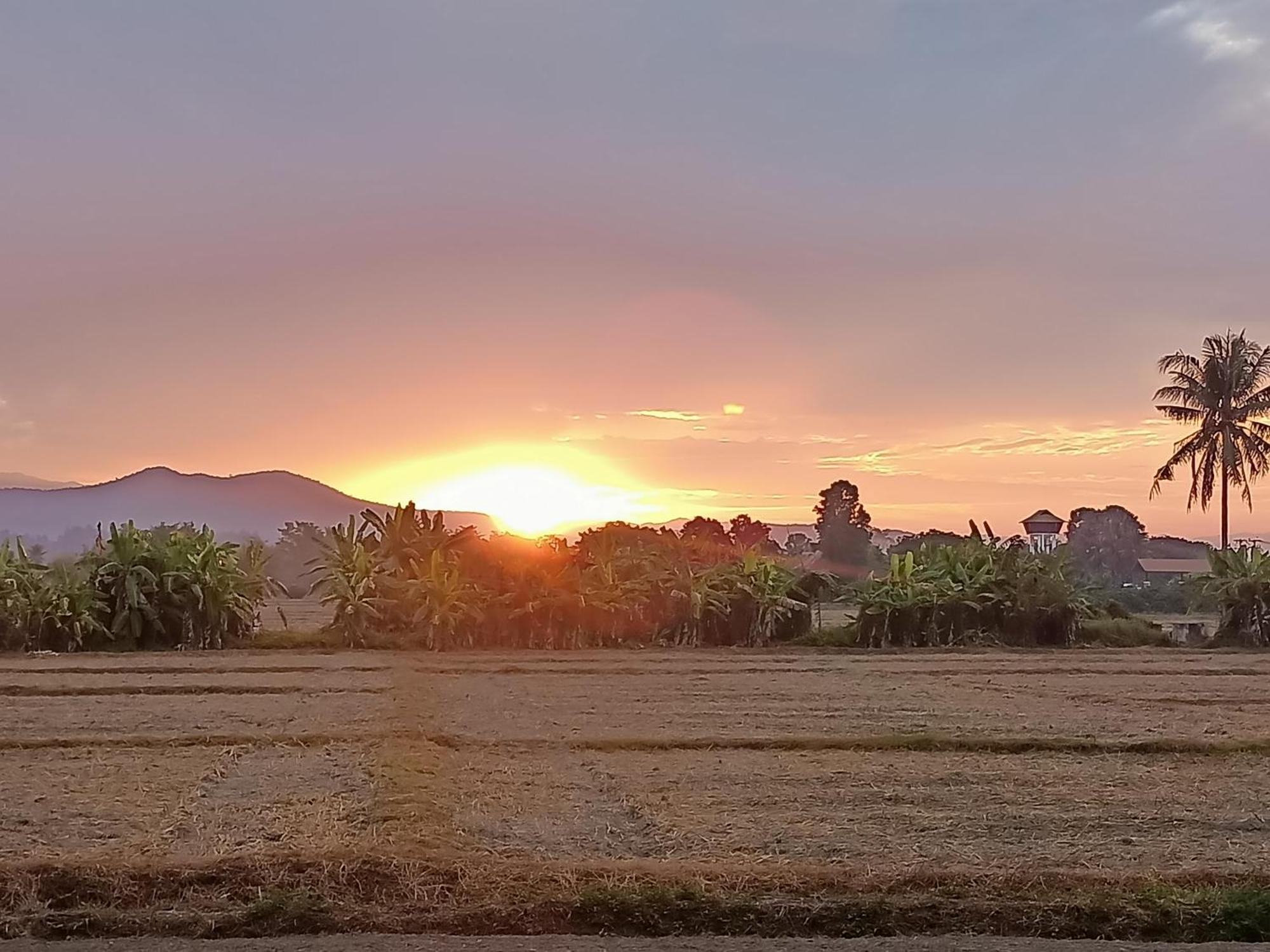 Villa Albizia, Chiang Mai Doi Saket エクステリア 写真