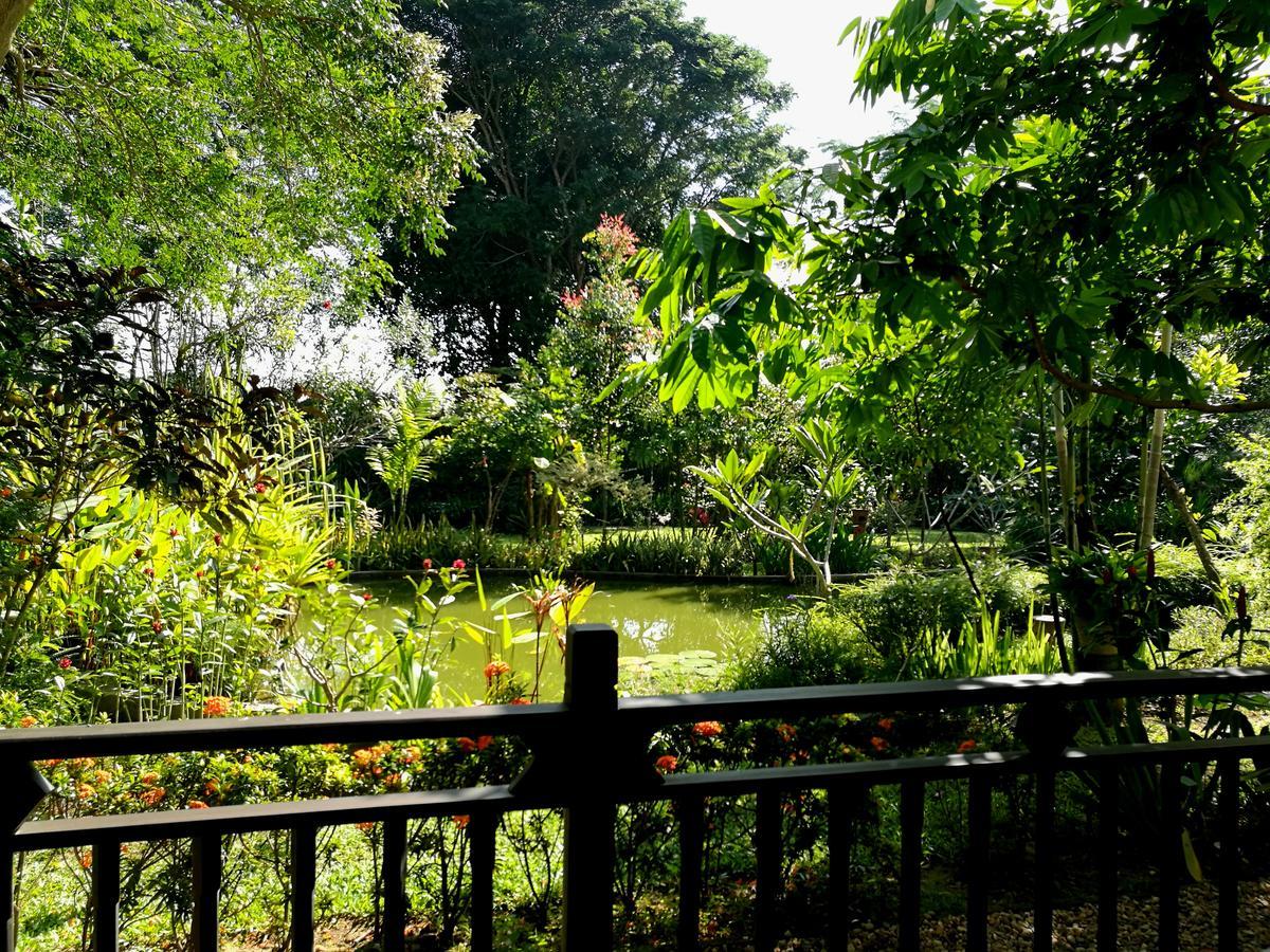 Villa Albizia, Chiang Mai Doi Saket エクステリア 写真