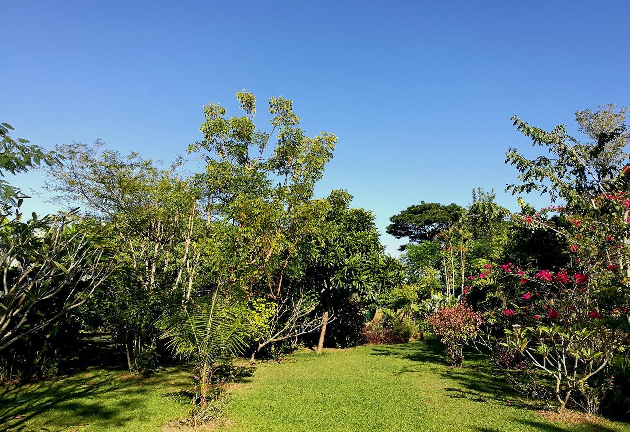 Villa Albizia, Chiang Mai Doi Saket エクステリア 写真