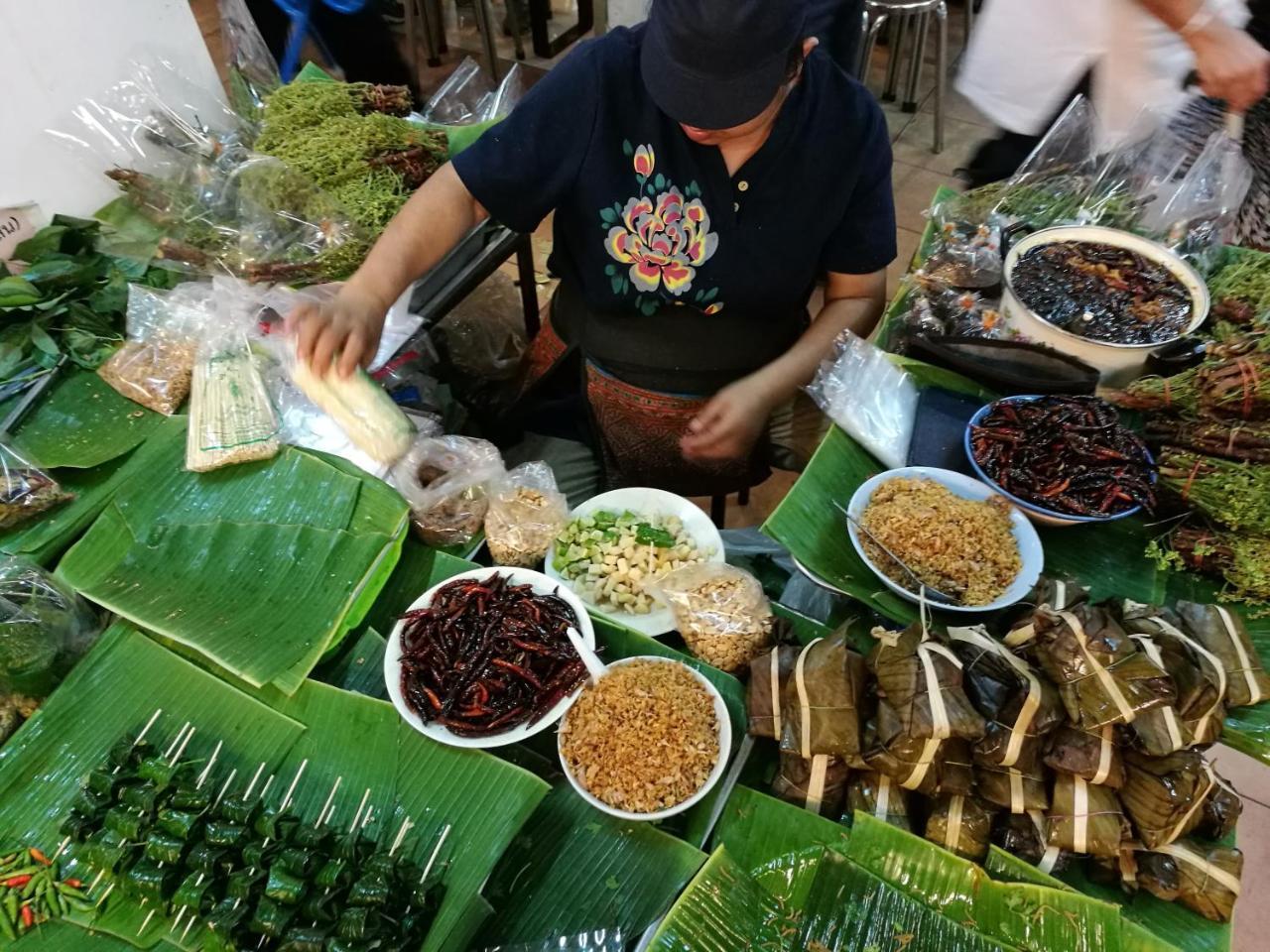 Villa Albizia, Chiang Mai Doi Saket エクステリア 写真